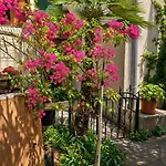 Yasmin Breeze Apartment Nerezine